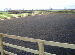 Equestrian 01